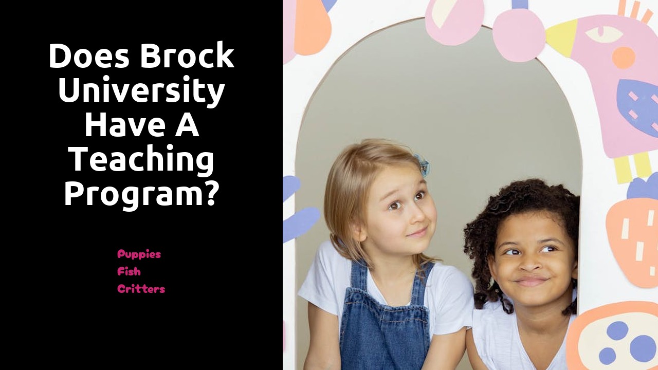 Does Brock University have a teaching program?