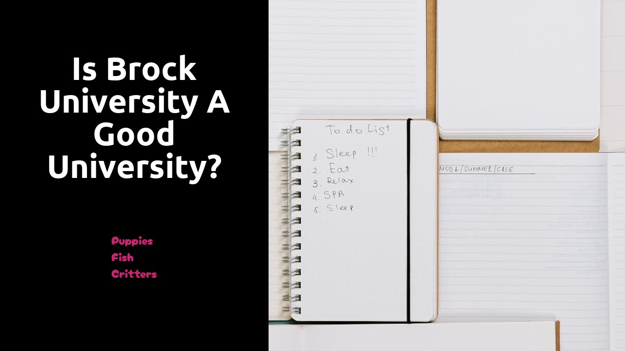 Is Brock University a good University?