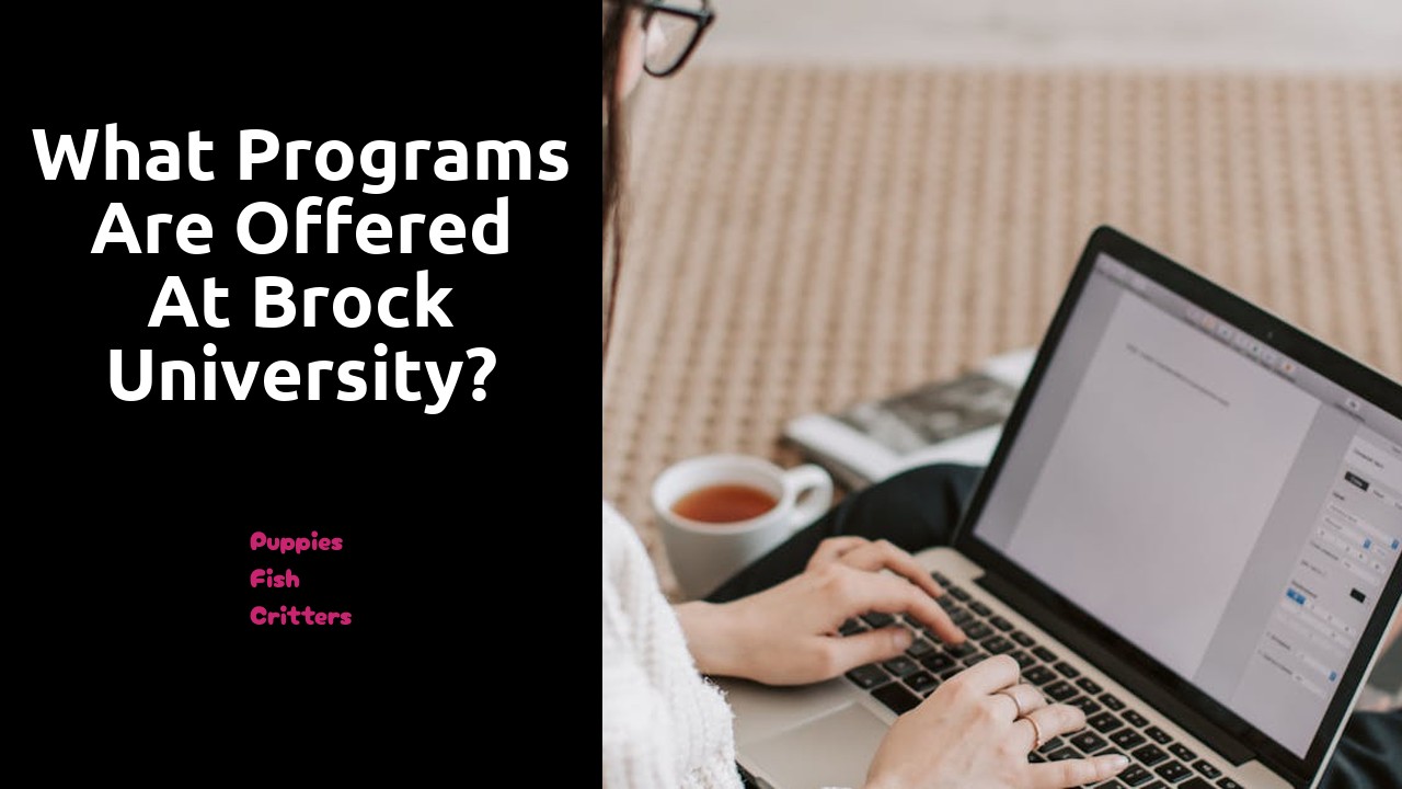 What programs are offered at Brock University?